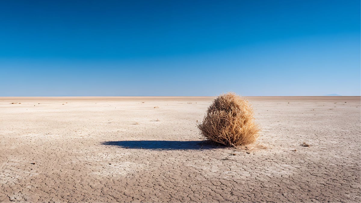 tumbleweed in empty desolate landscape